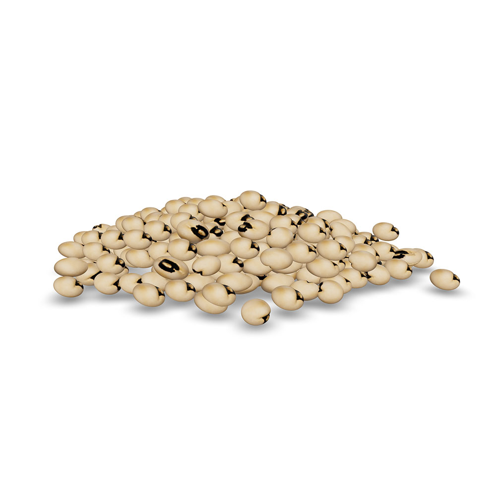 Organic Cowpeas