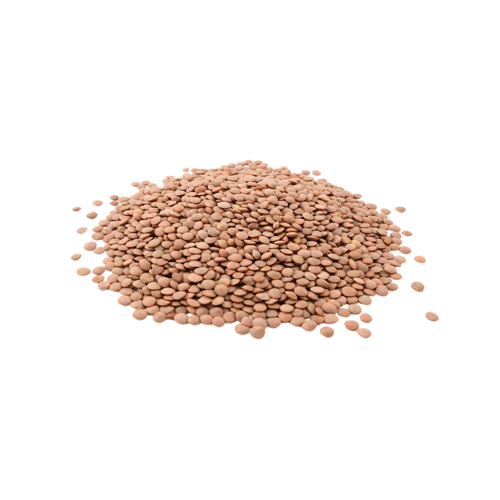 Organic Brown Lentil