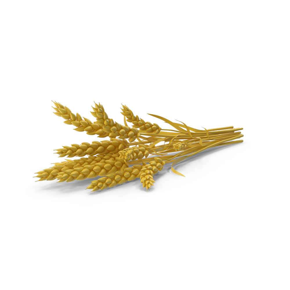 Organic Wheat