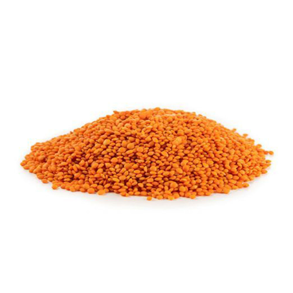Organic Red Football Lentil